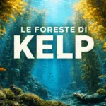 Viaggio nelle Foreste di Kelp: Architetture Sottomarine e Biodiversità